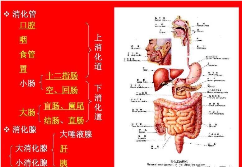 QQ图片20170817163637.jpg